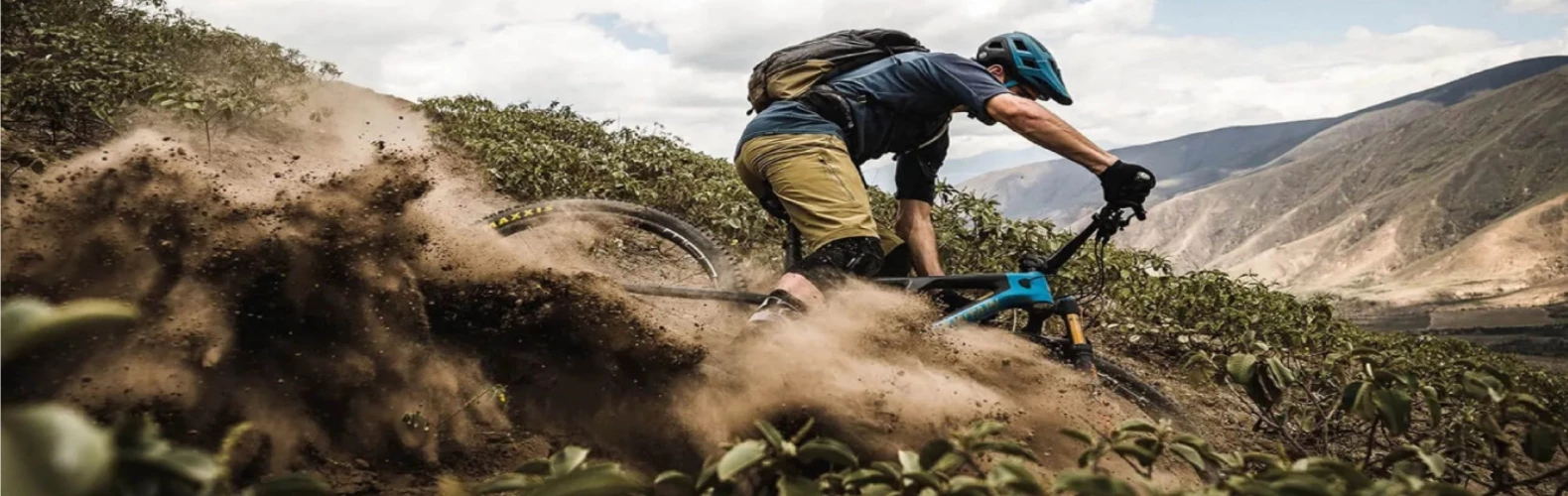 Shimano Shop -Shimano Shop 3.2